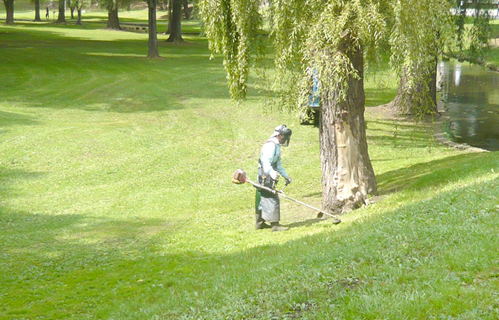 外構植栽管理の画像